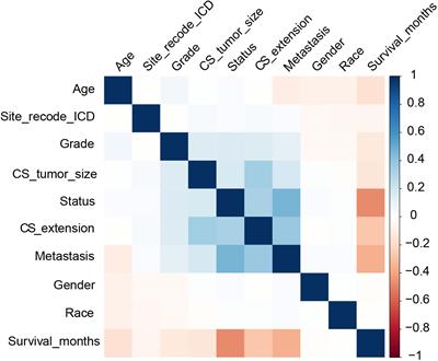 A novel prognostic model for patients with colon adenocarcinoma